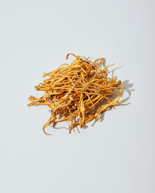 Cordyceps Mushroom and its Impact on the Brain